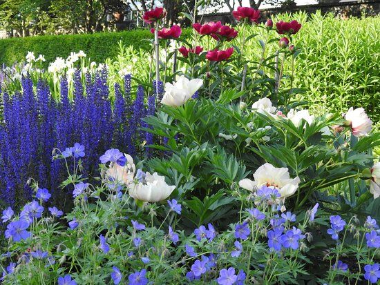 Stevens-Coolidge Place